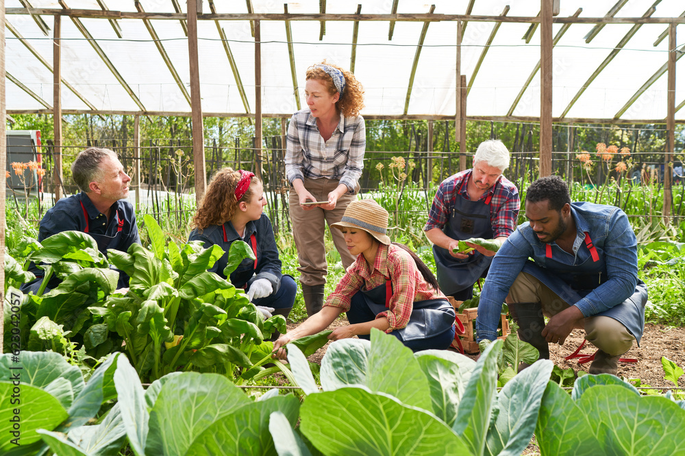 farm-worker-jobs-in-canada-with-visa-sponsorship-informer